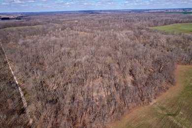 31.94 acres of recreational timber located along the Little - photo 39