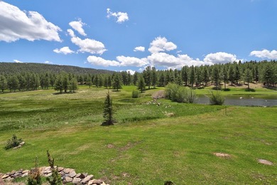 This premier property offers a coveted location for golf - photo 39