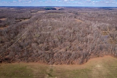 31.94 acres of recreational timber located along the Little - photo 40