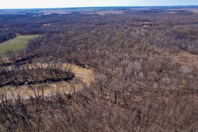 31.94 acres of recreational timber located along the Little - photo 44