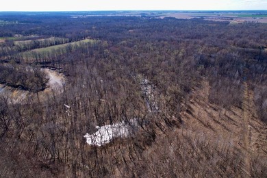 31.94 acres of recreational timber located along the Little - photo 45