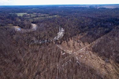 31.94 acres of recreational timber located along the Little - photo 46