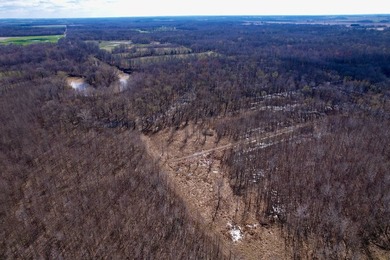 31.94 acres of recreational timber located along the Little - photo 47