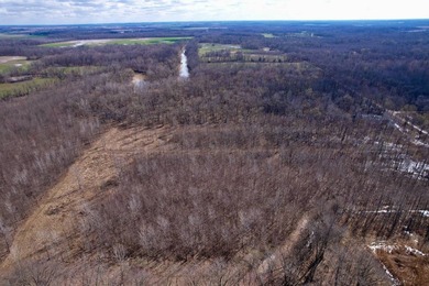 31.94 acres of recreational timber located along the Little - photo 48