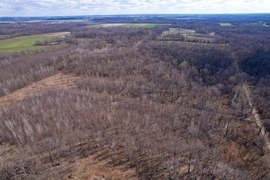 31.94 acres of recreational timber located along the Little - photo 49