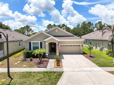 Buck Lake - Osceola County Home Sale Pending in Saint Cloud Florida
