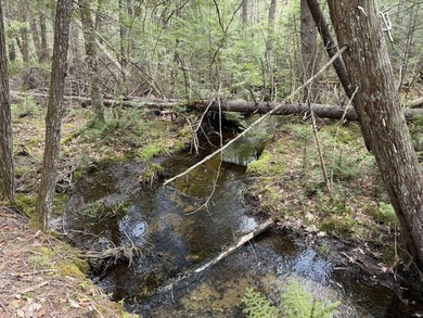Large undeveloped lot with approximately 1700' on Acadia Highway - photo 12