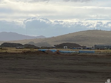 Included in the new inland port boundaries. Significant - photo 12