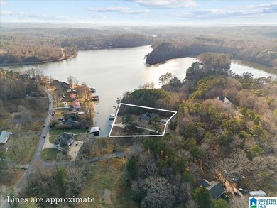 Everyday with be a Lake Day with this custom built waterfront - photo 33