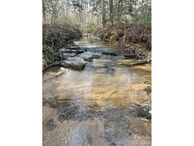 (private lake, pond, coastal) Acreage For Sale in Hiddenite North Carolina