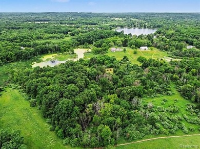 Phenomenal setting, gorgeous 4 bedroom 3 bath custom built ranch - photo 8