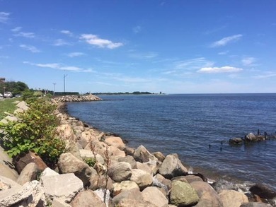 Handyman special by the water! This 1 family semi-attached home - photo 11