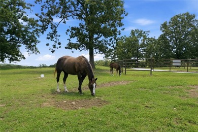 Beyond the bustle of town, where rolling pastures meet endless - photo 10