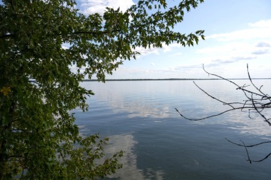 Petenwell Lake  Acreage For Sale in Necedah Wisconsin