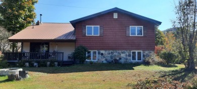 Lake Algonquin Home For Sale in Wells New York