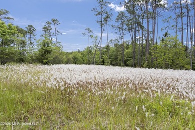 Discover your slice of paradise nestled near the tranquil Biloxi - photo 5