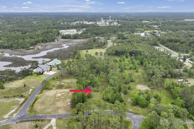 Discover your slice of paradise nestled near the tranquil Biloxi - photo 8