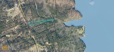 Strom Thurmond / Clarks Hill Lake Acreage For Sale in Elberton Georgia