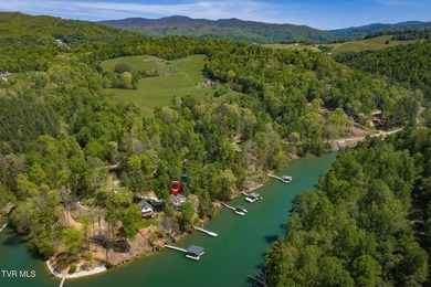 No HOA Watauga Lakefront cabin with private dock, deep-water - photo 30
