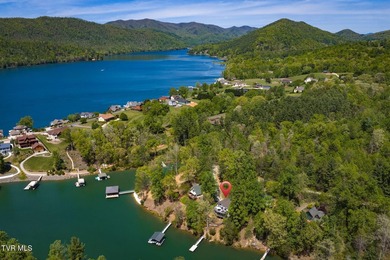 No HOA Watauga Lakefront cabin with private dock, deep-water - photo 31