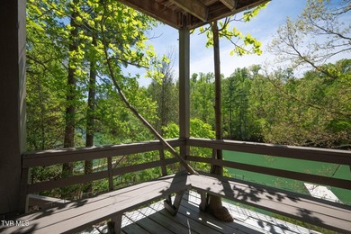 No HOA Watauga Lakefront cabin with private dock, deep-water - photo 33