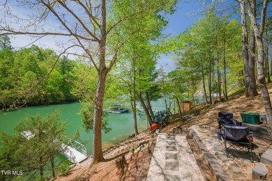 No HOA Watauga Lakefront cabin with private dock, deep-water - photo 34