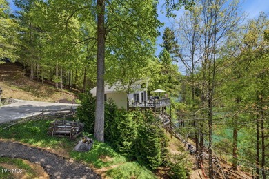 No HOA Watauga Lakefront cabin with private dock, deep-water - photo 39