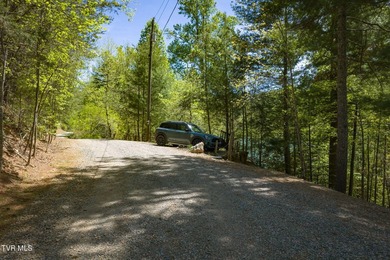 No HOA Watauga Lakefront cabin with private dock, deep-water - photo 40