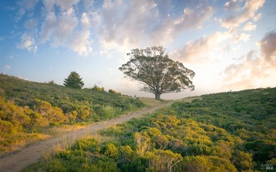 Set within Stinson Beach Highlands, 215 Belvedere is nestled - photo 2