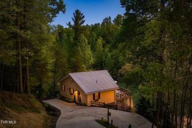 No HOA Watauga Lakefront cabin with private dock, deep-water - photo 42