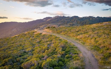 Set within Stinson Beach Highlands, 215 Belvedere is nestled - photo 3