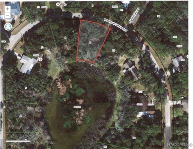 (private lake, pond, creek) Lot For Sale in Crystal River Florida
