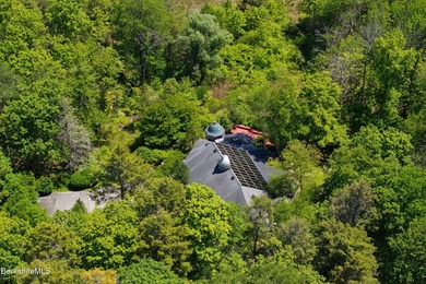 A house that stops people mid-sentence! At the Lenox/Stockbridge - photo 5
