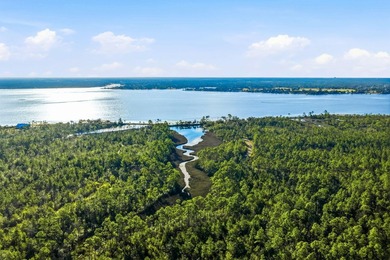 The Sanctuary is a 60-acre, 83 lot master planned residential - photo 17