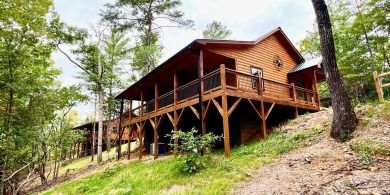 Lake Home For Sale in Murphy, North Carolina