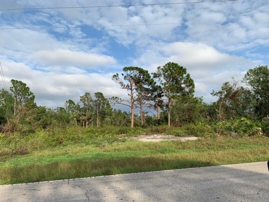 Port Charlotte Waterway Area Lot For Sale in Port Charlotte Florida
