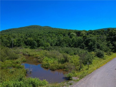 (private lake, pond, creek) Acreage For Sale in Roxbury New York