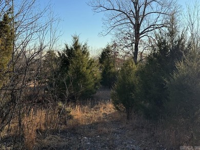 Located just outside Hardy, Arkansas, this versatile Ozarks - photo 2
