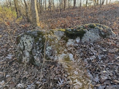 Located just outside Hardy, Arkansas, this versatile Ozarks - photo 3