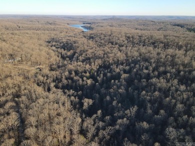 Located just outside Hardy, Arkansas, this versatile Ozarks - photo 4