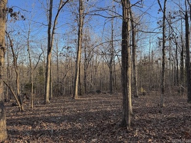 Located just outside Hardy, Arkansas, this versatile Ozarks - photo 6