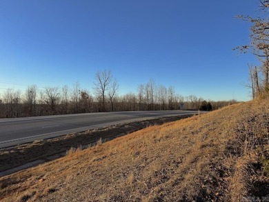 Located just outside Hardy, Arkansas, this versatile Ozarks - photo 9