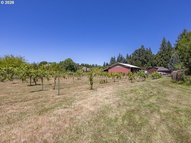 Your Winemaking Dream (or Kennel Dream) AwaitsPicture this: 5 - photo 9