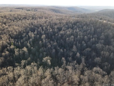 Located just outside Hardy, Arkansas, this versatile Ozarks - photo 10