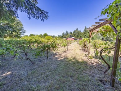Your Winemaking Dream (or Kennel Dream) AwaitsPicture this: 5 - photo 10