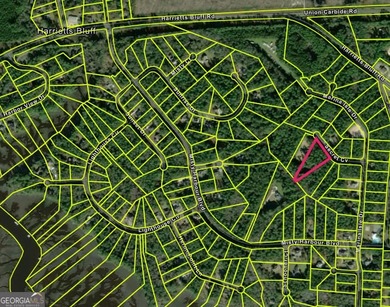 Crooked River Acreage For Sale in Woodbine Georgia