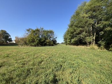 Lake Acreage For Sale in Grass Lake, Michigan