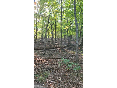 Lake Petit Lot For Sale in Big Canoe Georgia