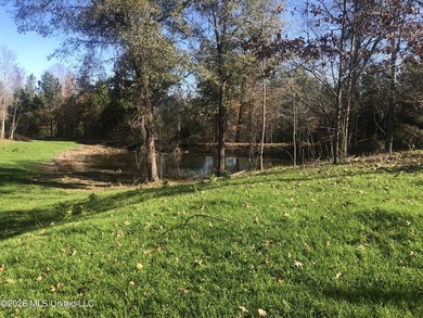 Discover the perfect blend of privacy, recreation, and potential - photo 1