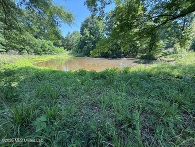 Discover the perfect blend of privacy, recreation, and potential - photo 4